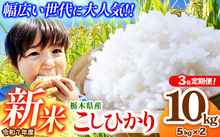 【先行予約】【定期便3回】栃木県産コシヒカリ 5kg×2 (10kg)  | 2025年 10月 11月 12月 秋 先行予約 新米 真岡市産 こしひかり コシヒカリ とちぎの星 銘柄 お米 米 おにぎり おむすび  ふるさと納税 先行 予約 栃木県 真岡市 送料無料 