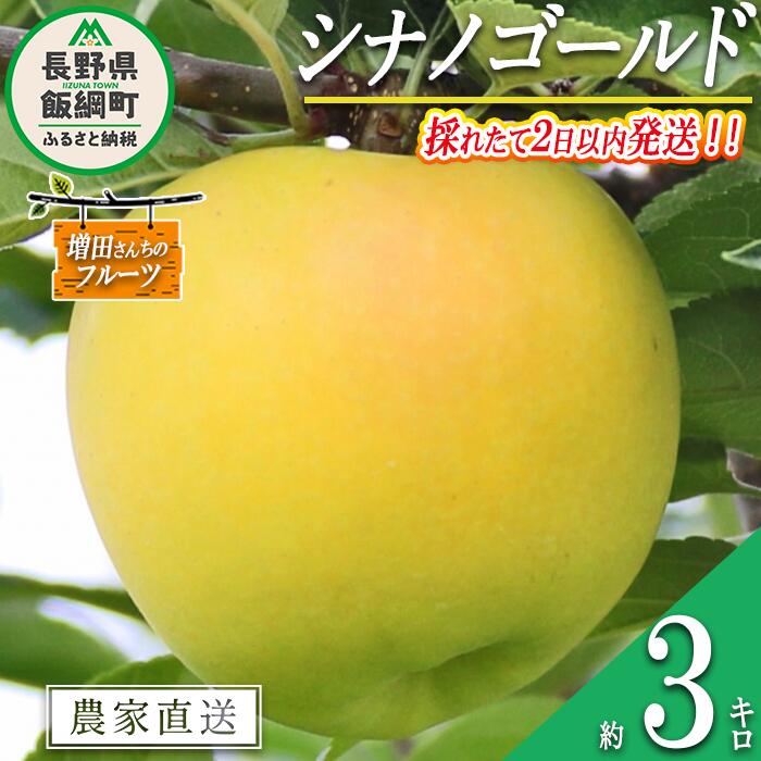 【ふるさと納税】 りんご シナノゴールド 家庭用 3kg 採れたてを発送 増田さんちのりんご 沖縄県への配送不可 令和8年度収穫分 長野県 飯綱町 〔 信州 果物 フルーツ リンゴ 林檎 長野 予約 農家直送 13000円 〕発送時期：2026年11月上旬〜2026年12月下旬