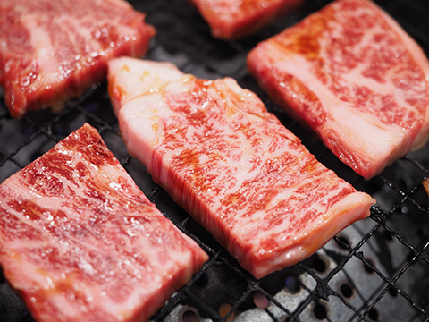 【A4～A5】博多和牛 焼肉用 500g 吉富町/株式会社MEAT PLUS [BGAB064]