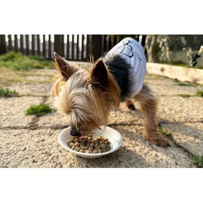 ふるさと納税 福崎町 愛犬用ごはん/ひとつごはん　うまぽてと500g |  | 01