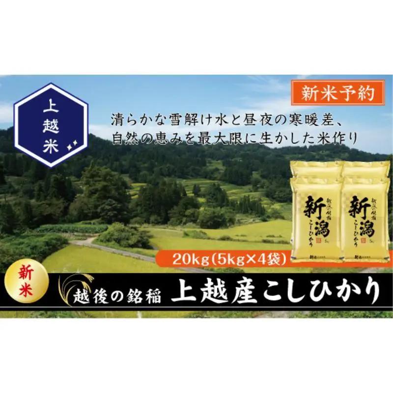 コシヒカリ 精米 上越産 コシヒカリ 20kg