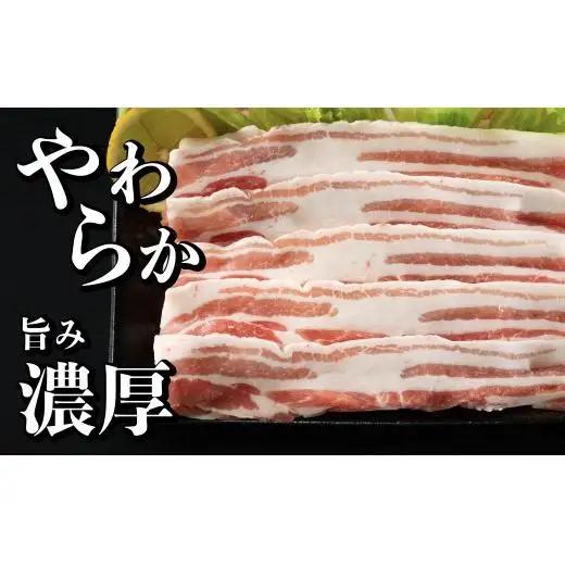 【3回定期便】 長崎県産 豚肉 バラスライス 計1kg (500g×2) 総計3kg 定期便 小分け 冷凍 豚肉 しゃぶしゃぶ すき焼き ぶたにく 国産豚 3回 定期便 
