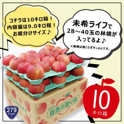 りんご 未希ライフ 2022年9月より順次発送 家庭用 9kg (28～40玉) 津軽産直組合直送【配送不可地域：離島】