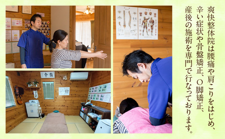 爽快整体院　施術補助券（5,000円分）・S089