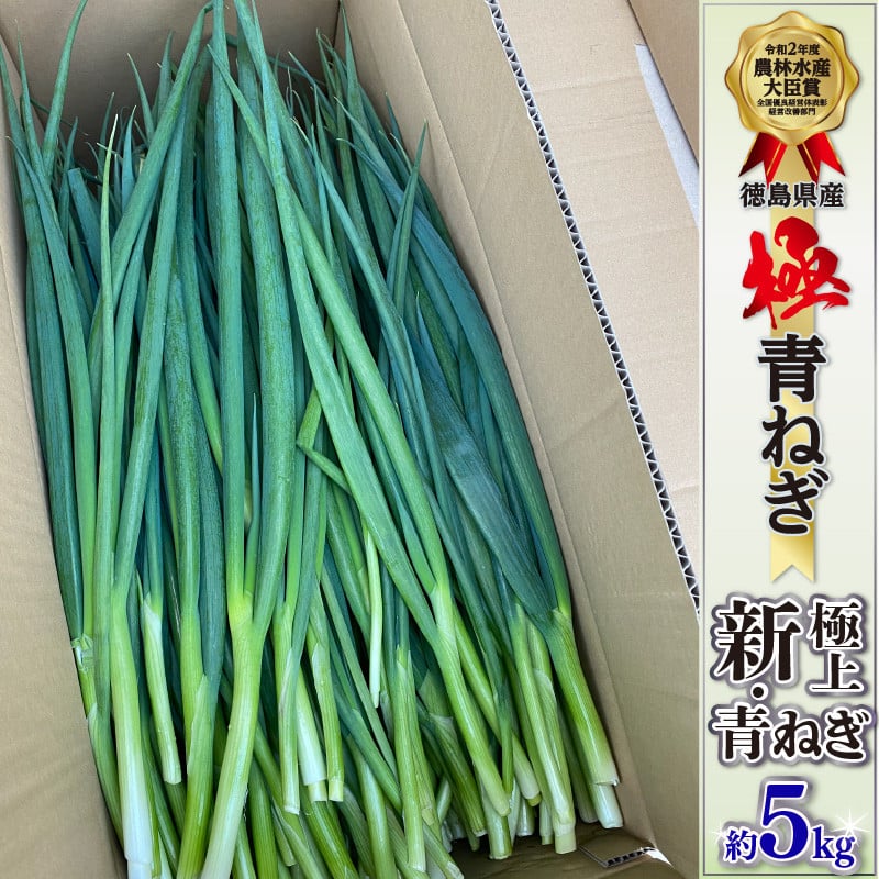 
                  青ねぎ 5kg ネギ 葱 極上 薬味 国産  訳あり 野菜 阿波市 うどん ギョーザ 餃子 チャーハン 焼きネギ 徳島 阿波市
                