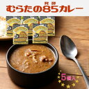 【ふるさと納税】むらた85(発酵)カレーセット(200g×5個)【1422787】