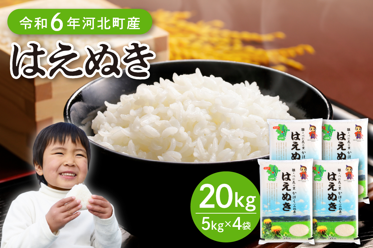 【令和6年産米】2025年1月下旬発送 はえぬき20kg（5kg×4袋）山形県産 【JAさがえ西村山】