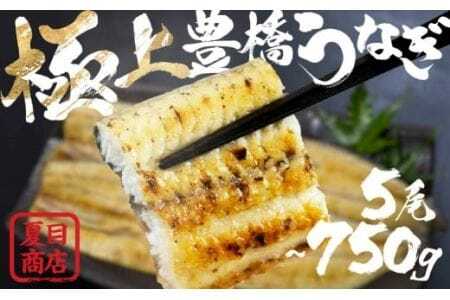豊橋うなぎ 白焼 5尾 750g 夏目商店 うなぎ
