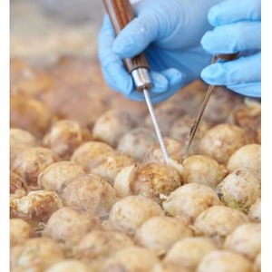 たこ焼き 名古屋風 醤油 冷凍 50コ オリジナル 白 昆布味 米粉 入り 皓介 たこ CAS冷凍 こだわり 昆布 蛸 おやつ 子供 子ども