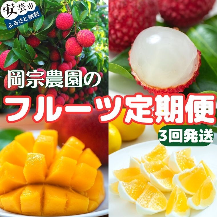 【ふるさと納税】 フルーツ定期便 3回 小夏 マンゴー ライチ 定期便 フルーツ 岡宗農園 果物 旬 季節 特産品 農家直送 みかん 柑橘 こなつ 贈答用 ギフト 国産 生ライチ 高級 贅沢 おいしい 自然 新鮮 産地直送 安芸市 高知県
