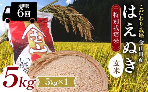 【令和7年産】定期6回 金山町産 特別栽培米 はえぬき 玄米 5kg 米 お米 ご飯 ブランド米 定期便 F4B-0624
