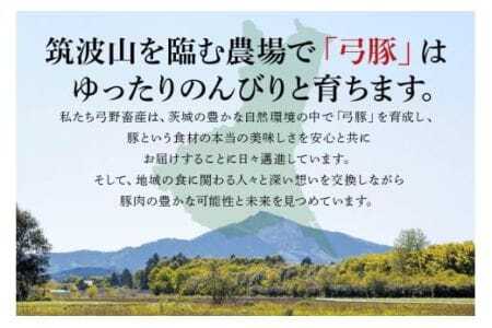 弓豚 お試しセット 600g 豚肉 和豚 銘柄豚 ロース バラ しゃぶしゃぶ用 肉 スライス 国産 高品質 希少 産地直送 ヘルシー 鍋料理 家庭用 ギフト 冷凍 【先行予約 2026年3月以降発送予