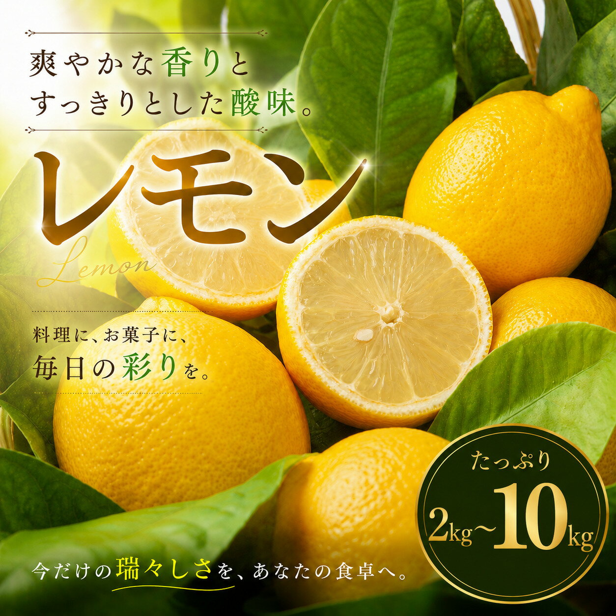 【ふるさと納税】 【選び抜いた一箱】 香り際立つ 【レモン】 2kg/3kg/5kg/10kg 愛媛県産 【2027年1月中旬頃から順次発送】 | れもん レモン lemon 檸檬 訳あり フルーツ 柑橘 果物 おすすめ お勧め お取り寄せ ギフト 愛媛県 松山市