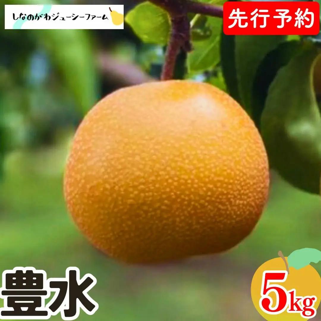 先行予約 和梨 豊水 約5kg 新潟県 しなのがわジューシーファーム