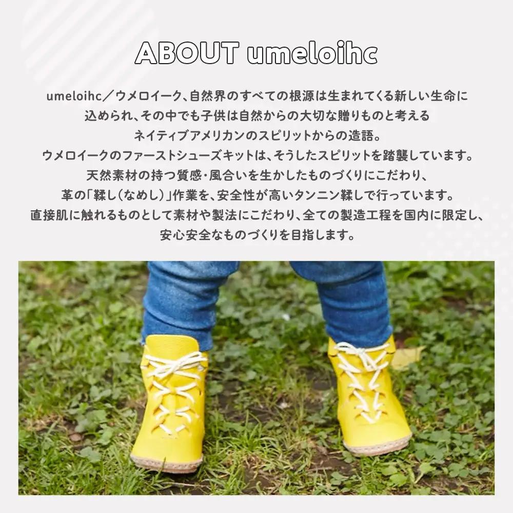 ファーストシューズキット　TEO　【キャメル】名入れプレート付き