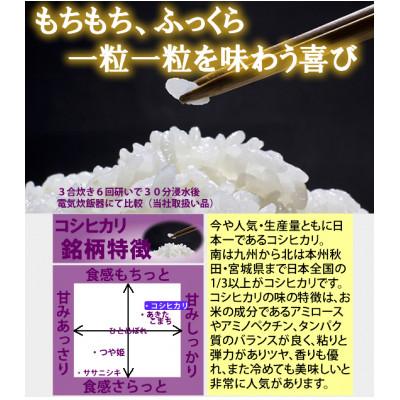 ふるさと納税 村田町 令和7年産　宮城県産コシヒカリ 精米10kg |  | 01