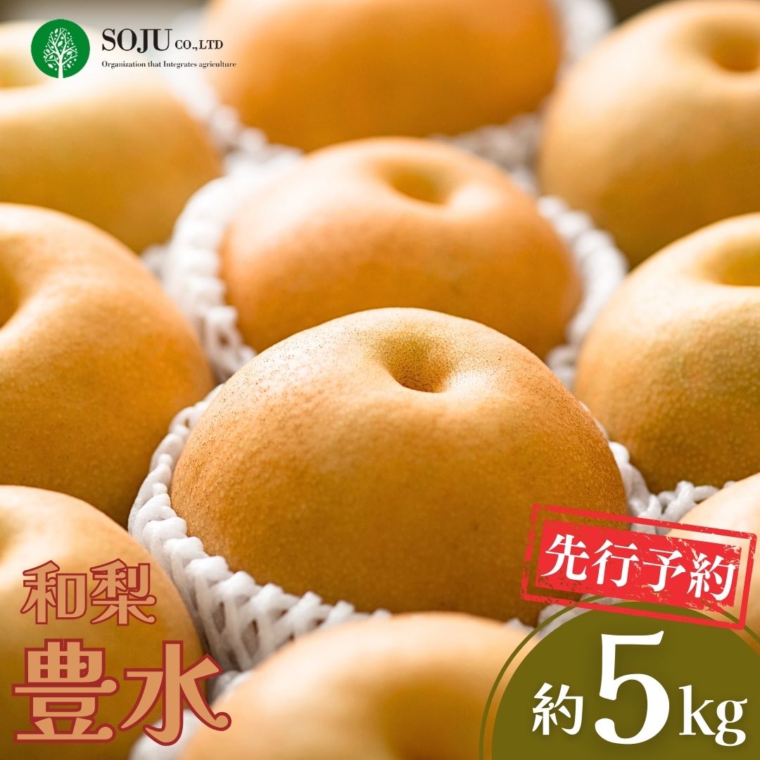 【ふるさと納税】先行予約 和梨 豊水 約5kg 令和8年度 贈答用 新潟県 三条市産 梨 [三条果樹専門家集団] 【016P020】