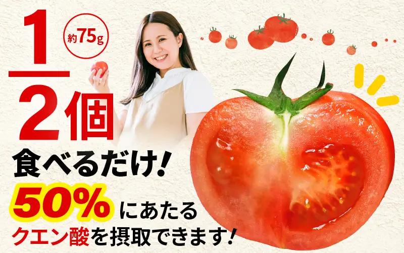 みつぼしトマト クエン酸 約400g × 2袋 (計800g) とまと 機能性表示食品 野菜 [A-2617]