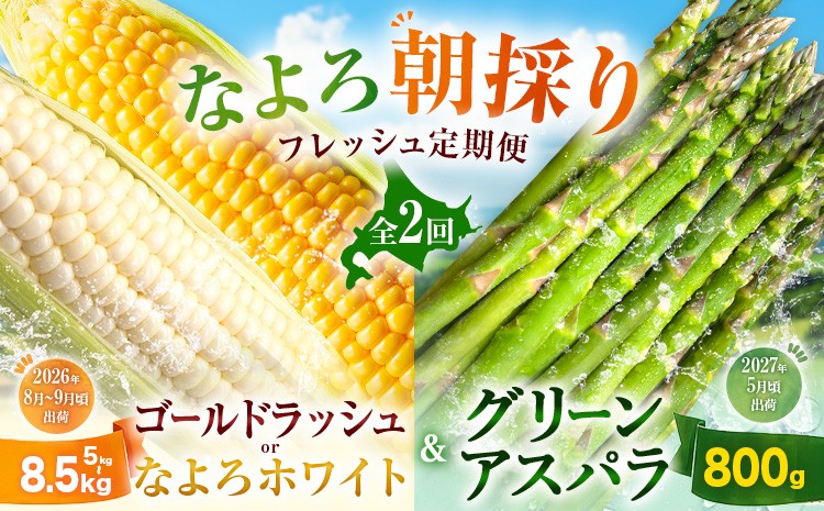 
                  【定期便全2回】なよろ朝採り フレッシュ定期便 北海道 名寄市産 とうもろこし ゴールドラッシュ なよろホワイト ホワイトコーン アスパラ グリーンアスパラ トウモロコシ コーン とうきび 食べ比べ 生食 白いとうもろこし 野菜 高糖度 旬 夏野菜 春野菜 お中元 ギフト 贈り物 贈答用 クール便 産地直送 送料無料《2026年8月上旬-2027年5月下旬頃出荷》
                