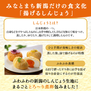 煮玉子しんじょう 8個詰合せ しんじょう おつまみ つまみ 練り物 8個 詰め合わせ セット 煮卵 卵 たまご 玉子 新潟