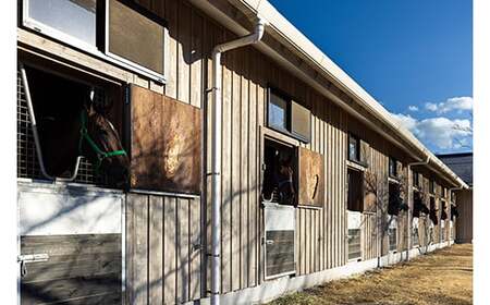 月1回限定開催 ノーザンファーム天栄見学ツアー ペア招待 （2026年6月分） ※記念品無しプラン UMAJO 期間限定 東北 福島県 天栄村 競馬 ノーザン 応援 思い出 記念 F21T-393