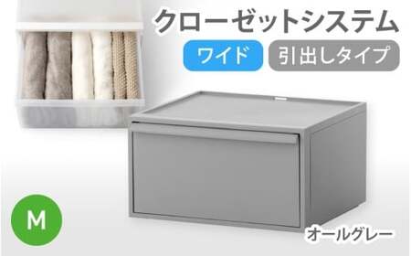 クローゼットシステム ワイド引出し（M） CS-WD2 オールグレー  (5色からお好きなカラーが選べる)   奈良県 葛城市【like024-2】