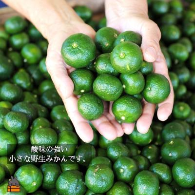 ふるさと納税 徳之島町 〜野生の島みかんの味〜徳之島のヤマ・シークニン果汁(70ml×5本) |  | 02