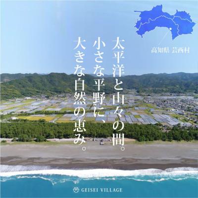 ふるさと納税 芸西村 令和7年産 芸西米コシヒカリ 5kg【KNK012-R7】 |  | 02