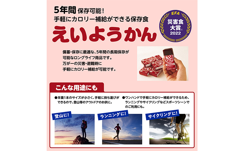えいようかん 非常食  1セット(20本:5本入×4) ミニようかん ひとくち羊羹 スティック スイーツ 和菓子 おやつ お菓子 備蓄 保存食 長期保存 栄養補給 防災 災害対策 登山 行動食 まとめ
