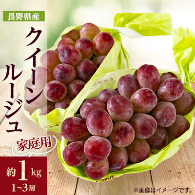 【ふるさと納税】家庭用【2025年先行予約】長野限定　信州産クイーンルージュ(赤ぶどう)　約1kg(1～3房)_ クイーンルージュ ぶどう 葡萄 赤ブドウ 果物 くだもの フルーツ 人気 おすすめ 送料無料 産地直送 家庭用 長野 信州 【配送不可地域：離島】【1576735】