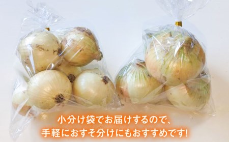 【先行予約 2027年5月～発送】小分け 玉ねぎ 約8kg / 玉ねぎ [IAO020]