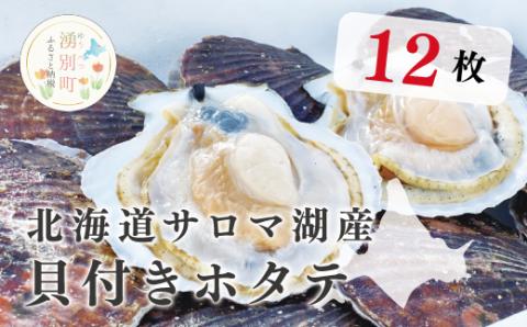 【国内消費拡大求む】<先行予約2024年11月から発送>北海道サロマ湖産　貝付きホタテ12枚　ほたて　帆立　刺身　海鮮　魚介　殻付き　貝付き　冷蔵　サロマ湖　オホーツク　おほーつく　湧別町　北海道