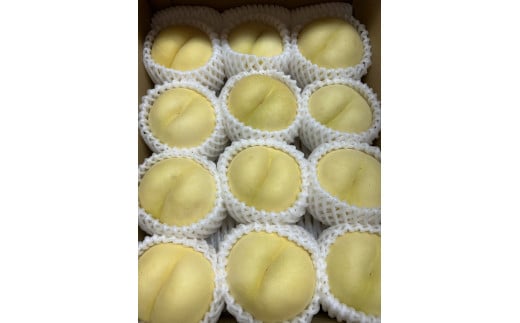 08-08-037　桃（恋香桃）3kg