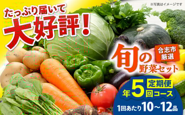
            【年5回コース定期便】【数量限定】合志の旬のお野菜10〜12品目【一般社団法人クラッシーノこうし】 [AYAB020]
          