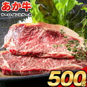 【ふるさと納税】あか牛（褐毛和牛） サーロイン ステーキ 500g 牛肉 冷凍《出荷時期をお選びください》