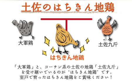 【 鶏肉 】 もも肉 はちきん地鶏 0.5kg [ag020]  鶏肉