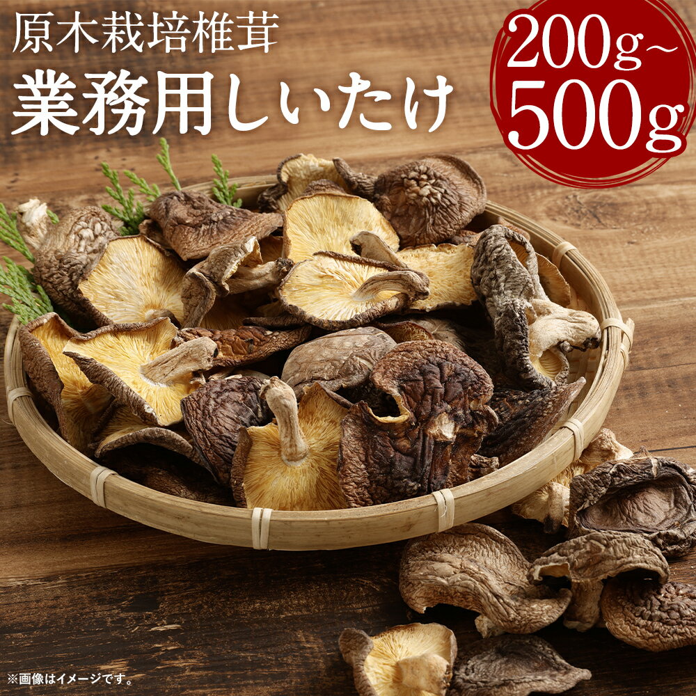 【ふるさと納税】訳あり 原木栽培椎茸 業務用 椎茸 200g/500g 選べる内容量 しいたけ 干し椎茸 干ししいたけ 乾椎茸 きのこ ご家庭用 熊本県人吉産 九州 送料無料