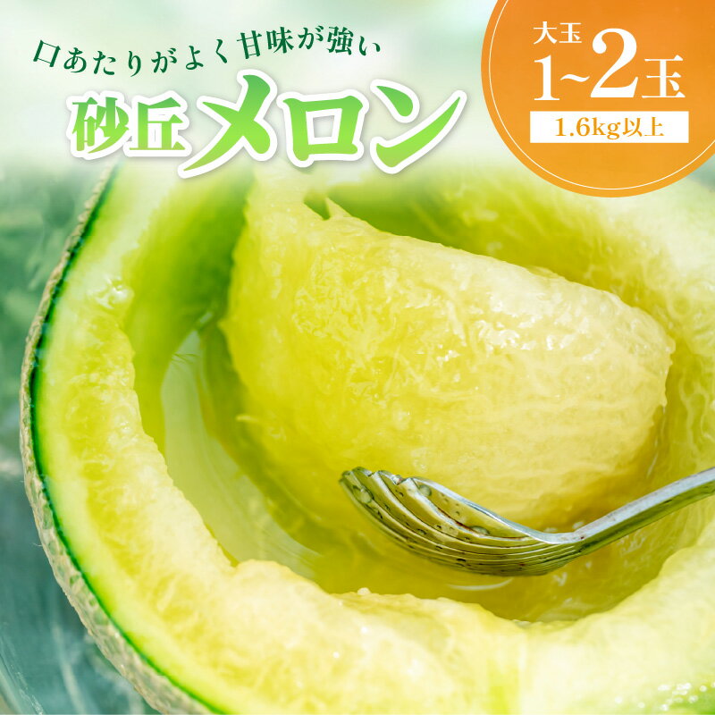 【ふるさと納税】2025年夏発送【先行予約／数量限定500】京丹後産 砂丘メロン 大玉2L以上 1玉 2玉（2025年7月下旬～発送） 選べる 国産 高級メロン めろん 贈答 贈答品 贈り物 ふるさと納税 メロン 青肉 ふるさと納税 先行予約 期間限定 ふるさと 納税 フルーツ くだもの