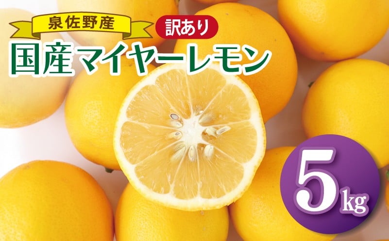 
            【チョイス限定】国産マイヤーレモン 5kg【泉佐野産 フルーツ 果物 れもん 檸檬 産地直送 訳あり サイズ不揃い まとめ買い】
          