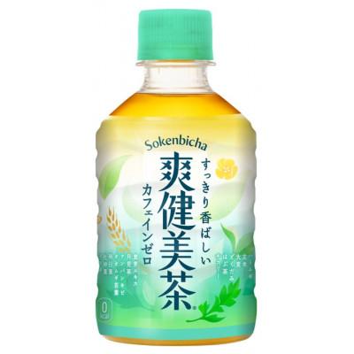 ふるさと納税 砺波市 爽健美茶280mlPET×24本