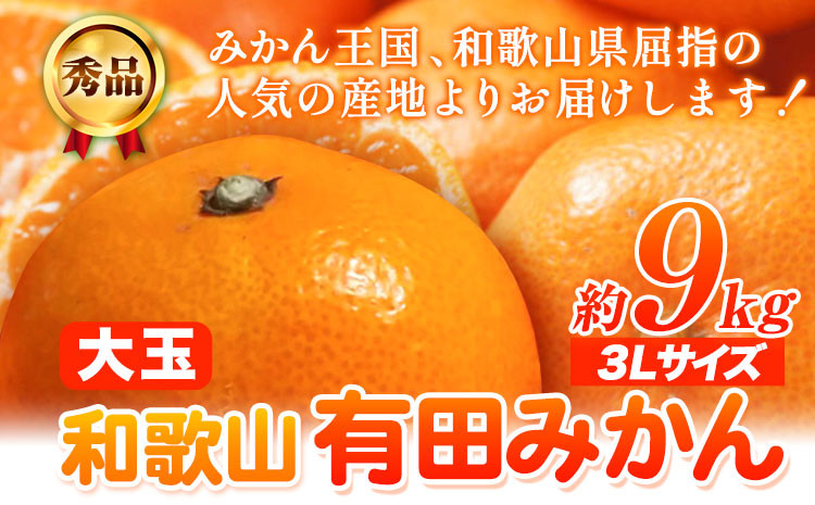 
【食べごたえ十分】和歌山 有田 みかん 大玉 約 9kg (3Lサイズ・秀品） 厳選館《11月上旬-1月末頃出荷》 和歌山県 日高川町 有田みかん みかん 大玉 柑橘 ミカン 送料無料
