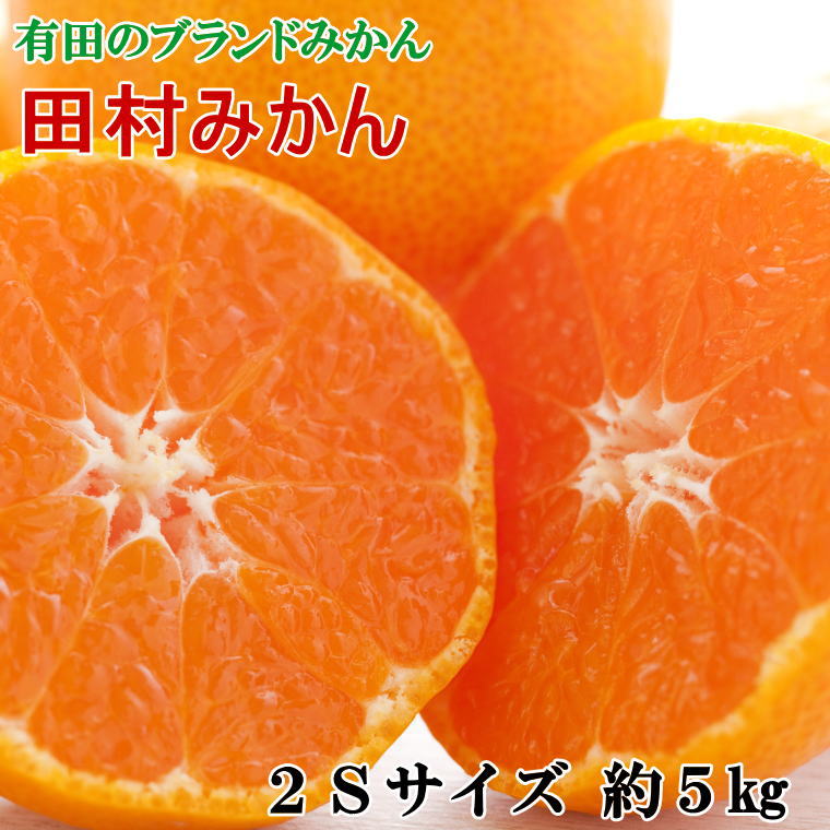 【ふるさと納税】 【ブランドみかん】田村みかん約5kg（2Sサイズ・秀品）※2025年11月下旬～2025年12月下旬頃順次発送予定（お届け日指定不可）