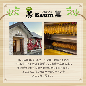 バームクーヘン 【3か月定期便】バウムクーヘン