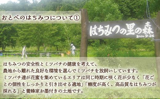 ＜おとべのはちみつ シナ500g×1本＞北海道 北海道産 道産 天然 非加熱