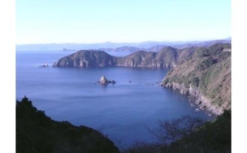 土佐の地酒「最高位金賞受賞蔵・純米酒」一升瓶6本セット