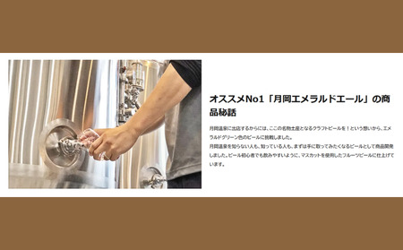 クラフト ビール 飲み比べ 350ml 6本 月岡 クラフト クラフト クラフト クラフト shinbo017