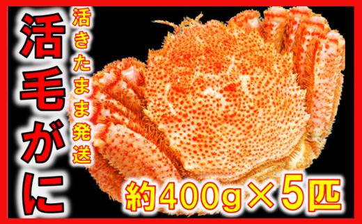【令和8年発送】【期間限定2026年3月〜4月発送】三陸産 三陸活毛ガニ 400g×5杯(匹)【配送日指定不可】【05】　