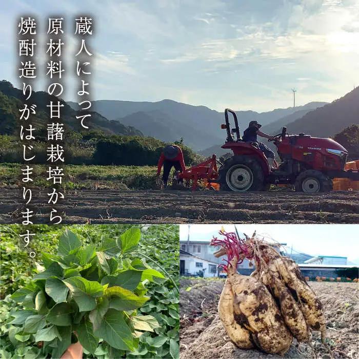 【全6回定期便】越鳥南枝2本セット 各720ml×1本[RAW028] 焼酎 芋焼酎 定期便 焼酎 芋焼酎 定期便 焼酎 芋焼酎 定期便 焼酎 芋焼酎 定期便 焼酎 芋焼酎 定期便九州 長崎