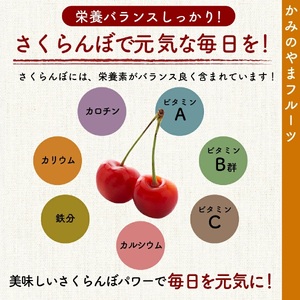 さくらんぼ（佐藤錦か紅秀峰）１ｋｇ　Ｌサイズ　バラ詰め　0020-2609