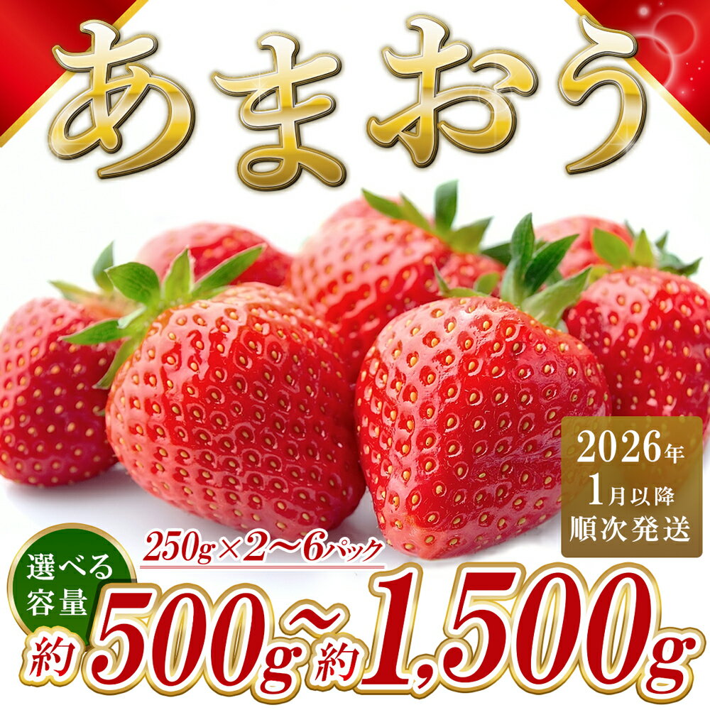 【ふるさと納税】福岡県産 あまおう ＜選べる容量＞約500g前後(約250g×2パック)約1000g前後(約250g×4パック)約1500g前後(約250g×6パック)(1月～3月発送) 3KC1